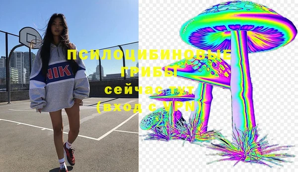 мет Осинники