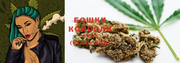 трава Осташков