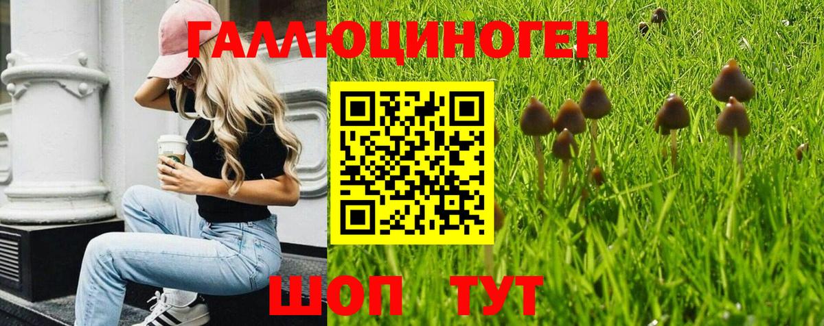 Псилоцибиновые грибы мухоморы  Вход с VPN  Псилоцибиновые грибы Psilocybine cubensis  Сочи 