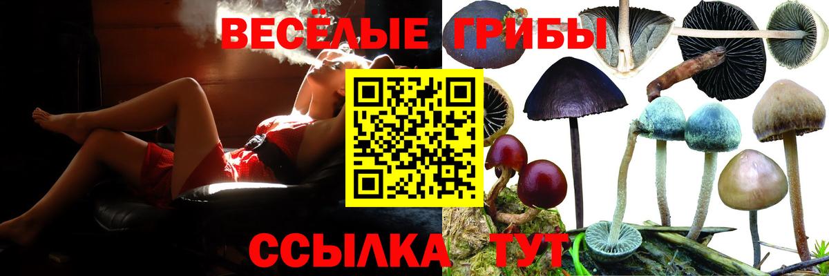 Псилоцибиновые грибы GOLDEN TEACHER Сочи