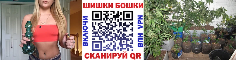 Купить закладки  Сочи  Шишки марихуана тримм 